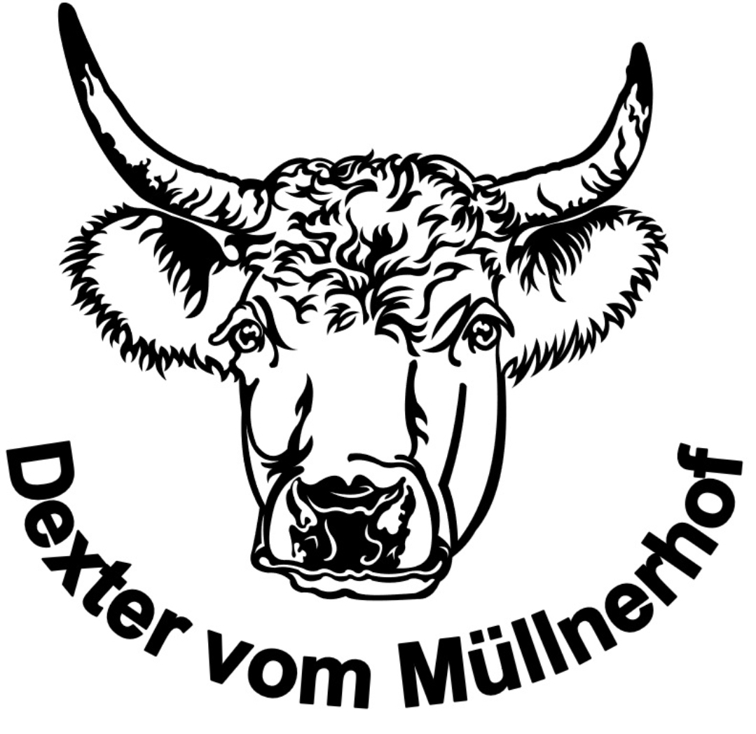 Dexter vom Müllnerhof (neustadt)